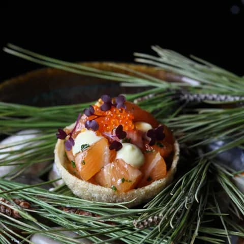 Caprici de salmó — Factor Vi